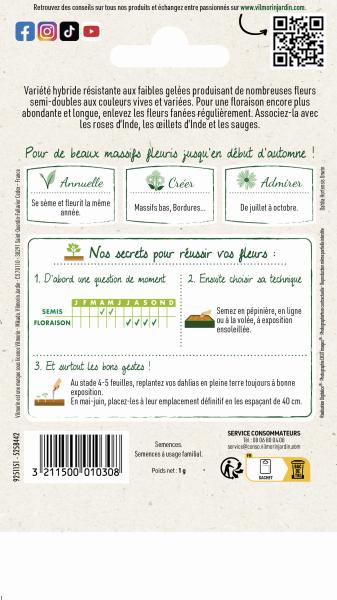 Fleurs - Dahlia Unwin Varié - MEDIA_PACKAGING_VERSO